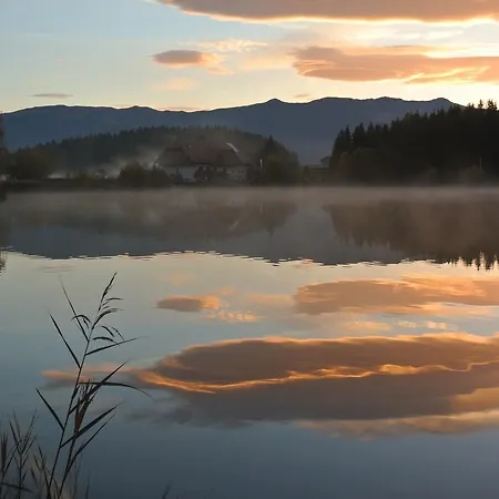 Apartment Fischerwirt *